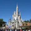 Dee Willis - @dee.willis - TikTok