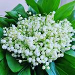 Winston Dee - @winstondeewood - Instagram