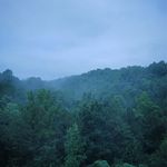 Dee Wolf - @myspacequeen1408 - Instagram