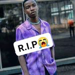 Dee Wolf - @dee.wolf.1466 - Instagram