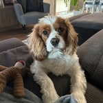 Deanna Baker - @deama65 - Instagram