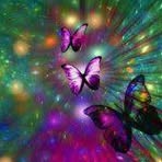 DeeDee Estes - Facebook