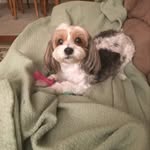 Dee Dee Lowenwirth - @dee_dee_lowenwirth - Instagram