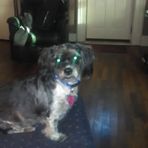 DeeDee Lowe - Facebook