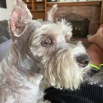Dee Dee Scott - @scott.deedee - Instagram