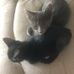 DeeDee Watkins - Facebook