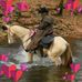 Deanna Ball - Facebook