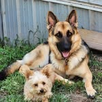 Deanna Douglas - @onepmom - Instagram