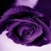 Deena Gilbert - Facebook