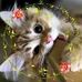 Deena Joffrion Griffin - Facebook