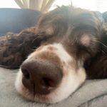 Deanna Grossman - @deanna_grossman_ - Instagram