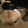 Deann Kaiser - @deann_kaiser - TikTok