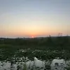 Deanna Lewis - @deanna.l - TikTok