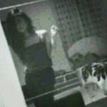 deena Mohamed - @deena_mohamed2000 - Instagram