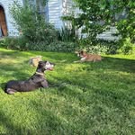 Deana Morrow-Allec - @rockmom61 - Instagram