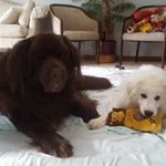 Deena Wallman - @deenawallman - Instagram