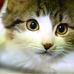 Deena Webster - Facebook