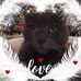 Tina Weiner - Facebook