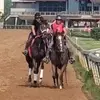 Deena Wells Clark - @deena.wells.clark - TikTok