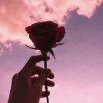 Deena - @deenawestbrooke - Instagram