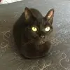Deanna Wilcox - @deanna.wilcox1 - TikTok