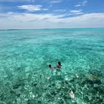 Deena Ebrahim🧜🏼‍♀️ - @deenawillis - Instagram