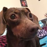 Deenie - @deenie.the.weenie - Instagram