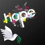 Donna L Holohan - Facebook