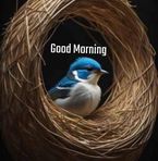 Deep Bajwa - Facebook