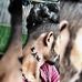 Deep Biswas - Facebook