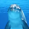 Deep Blue Posts - @deepblueposts - TikTok
