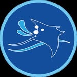 Deep Blue Sport - Implementación Deportiva 🏊‍♂️🚀 - @deepbluesport_ - Instagram