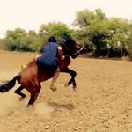 DeEp kaNWal - @iamdeepkanwal - Instagram
