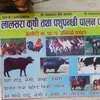 💕DEEP LOVE KRISHNA💕 - @deep.love.krishna - TikTok