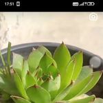 deep mala - @deep_mala45__ - Instagram