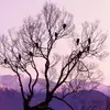 Deep Modh - @deep.modh - TikTok