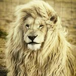deep's patel - @deep_panara123 - Instagram