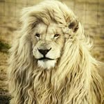 panara deep - @panara_deep - Instagram