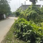 Deep Pathak - Facebook