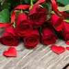 Deep Raay Deep Raay - @deepraaydeepra - TikTok