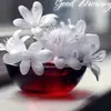 Deep Saha - @deep.saha - TikTok