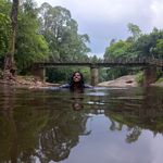 Deepa Abraham - @deepaaab - Instagram