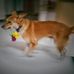 Deepa Antony - Facebook