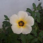 Deepa Antony - @deepa.antony.1004 - Instagram