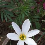 Deepa Antony - @deepa.antony.71 - Instagram