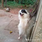 Deepa Bose - @deepabose78 - Instagram