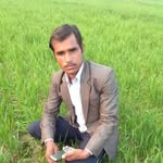 Deepa Ram Bose - @deeparambose - Instagram