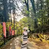 Deepa🕉️❤️‍🩹 - @deepachhetri777 - TikTok
