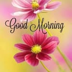 deepa - @deepa_dalvi_ - Instagram