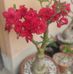 Deepa Dass - Facebook